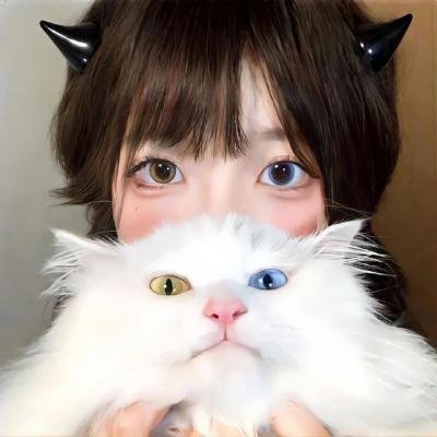 家园防线在线观看